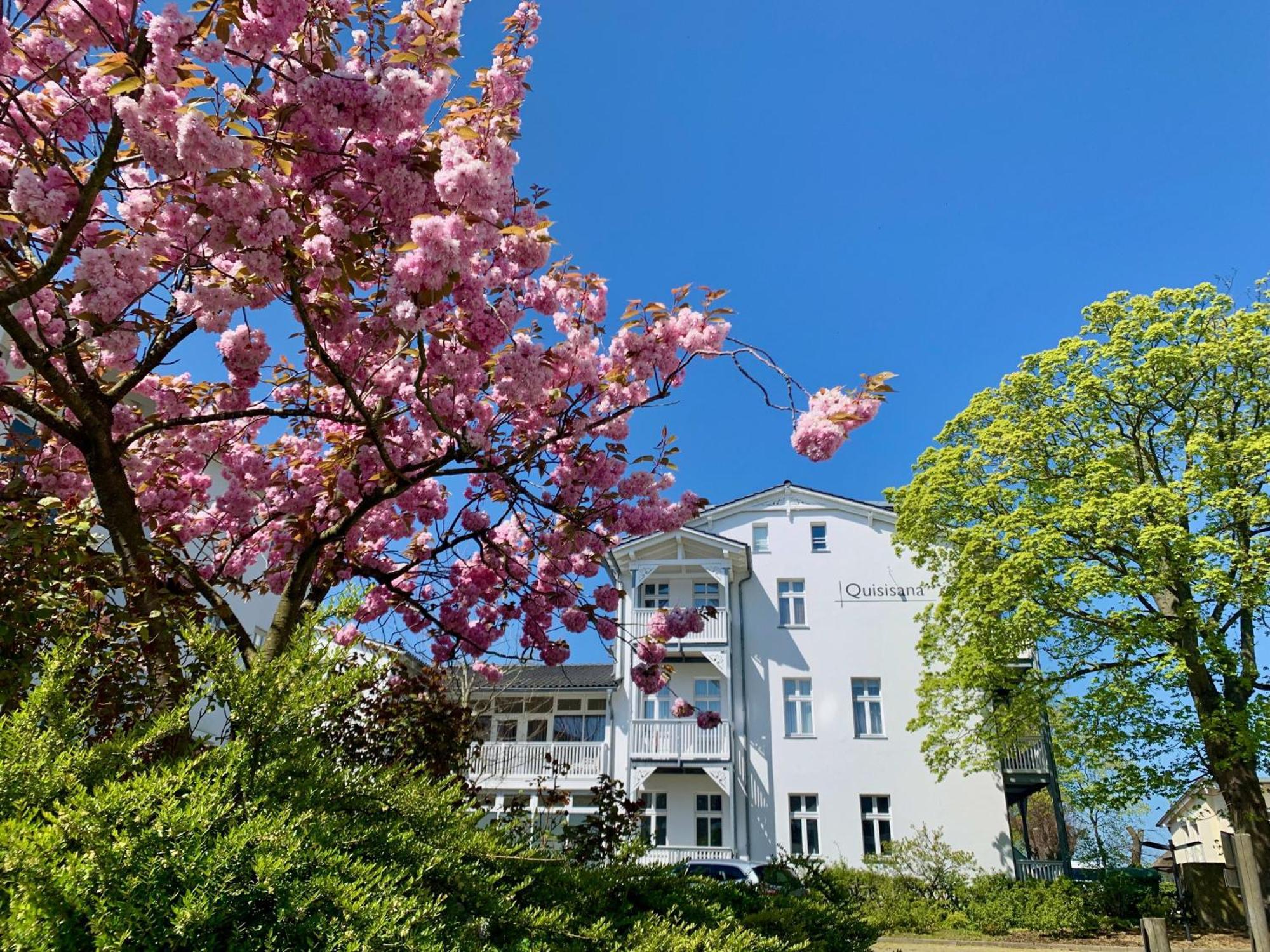 Ferienwohnung mit Meerblick und Schwimmbad Goehren  Exterior foto